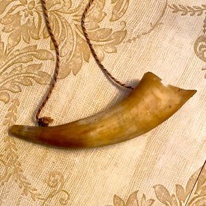 Authentic Antique Powder Horn